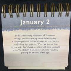 Daily Inspiration with God’s Word – Decorative Faith Book